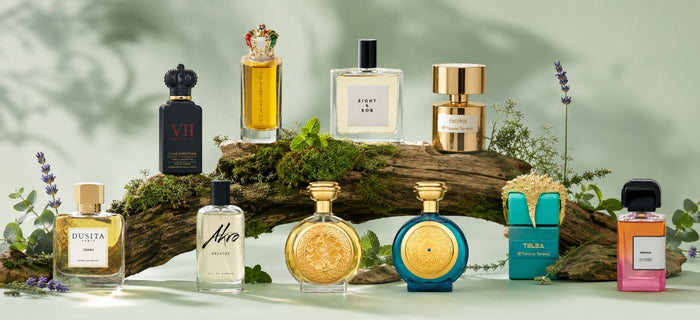 10 Aromatic Perfumes with Fougère DNA