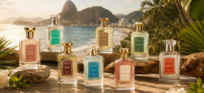 Top 8 Rated Brazilian perfumes to know