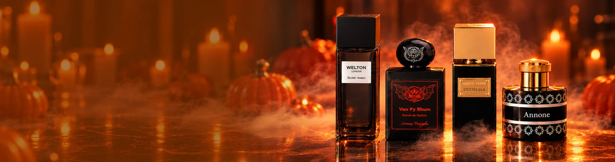 Trick or Treat: 8motiv!