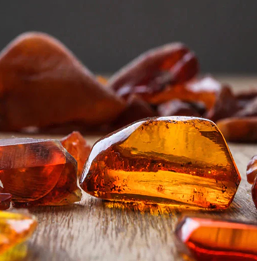 Musk/Amber
