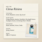 BDK Parfums Citrus Riviera fragrance profile card
