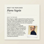 Pierre Negrin perfumer profile