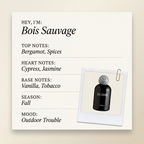 L'OBJET Bois Sauvage fragrance profile card