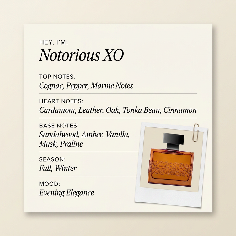 M. Micallef Notorious XO fragrance profile card