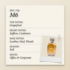 Michael Cinco M6 fragrance profile card