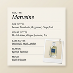 Michael Cinco Marveine fragrance profile card