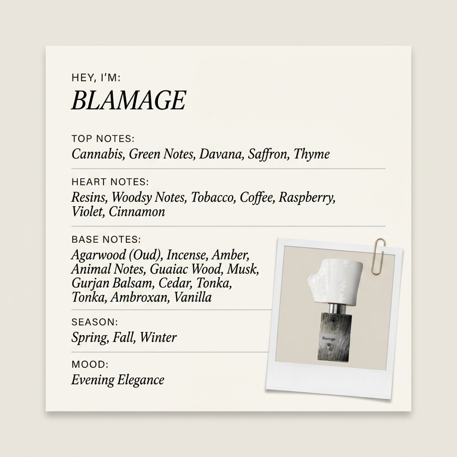 Nasomatto BLAMAGE fragrance profile card