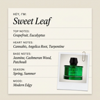Room 1015 Sweet Leaf fragrance profile card