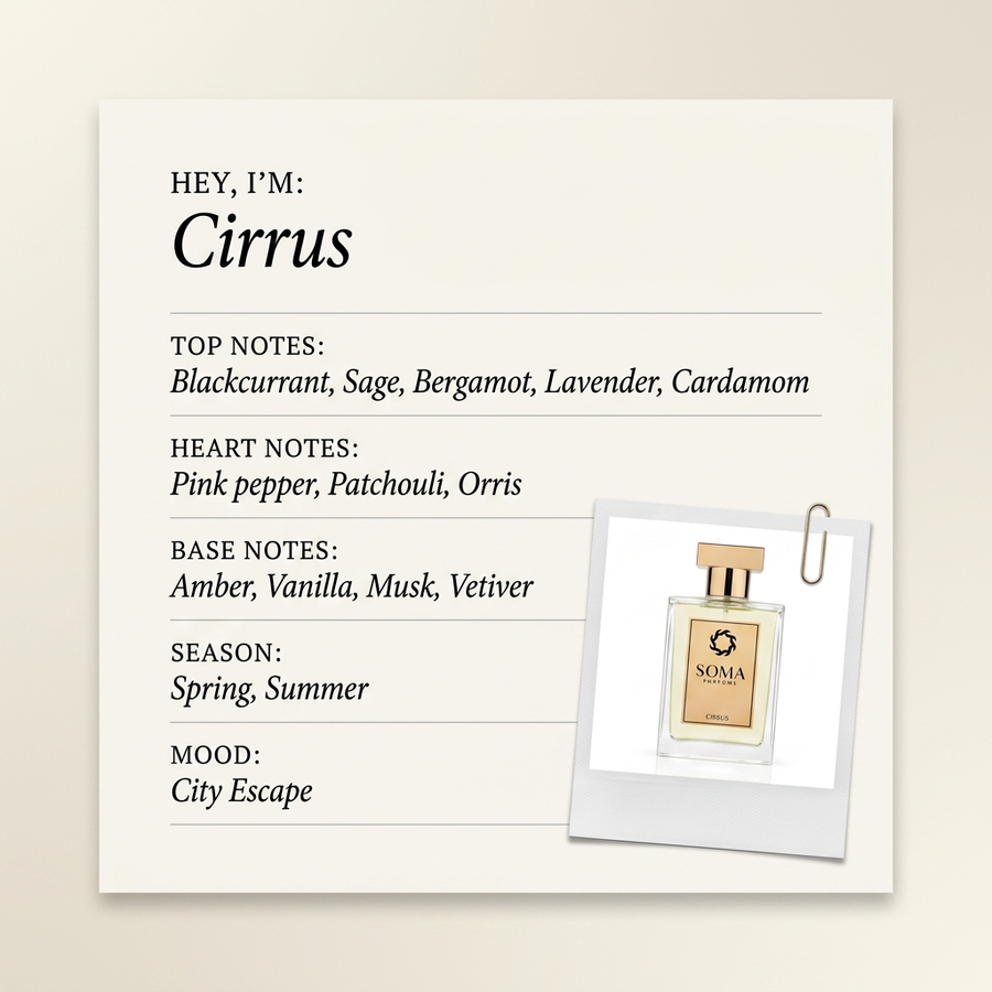 Soma Parfums Cirrus fragrance profile card