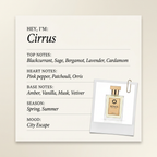 Soma Parfums Cirrus fragrance profile card